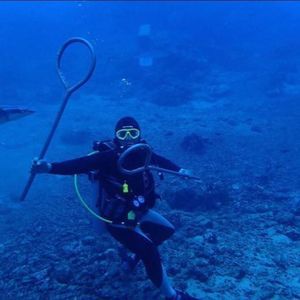 Meet your Posher, Gary